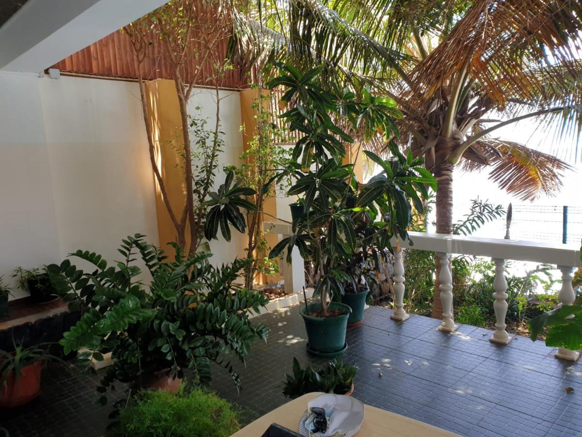 Cactus Guest House Cidade Velha Kültér fotó